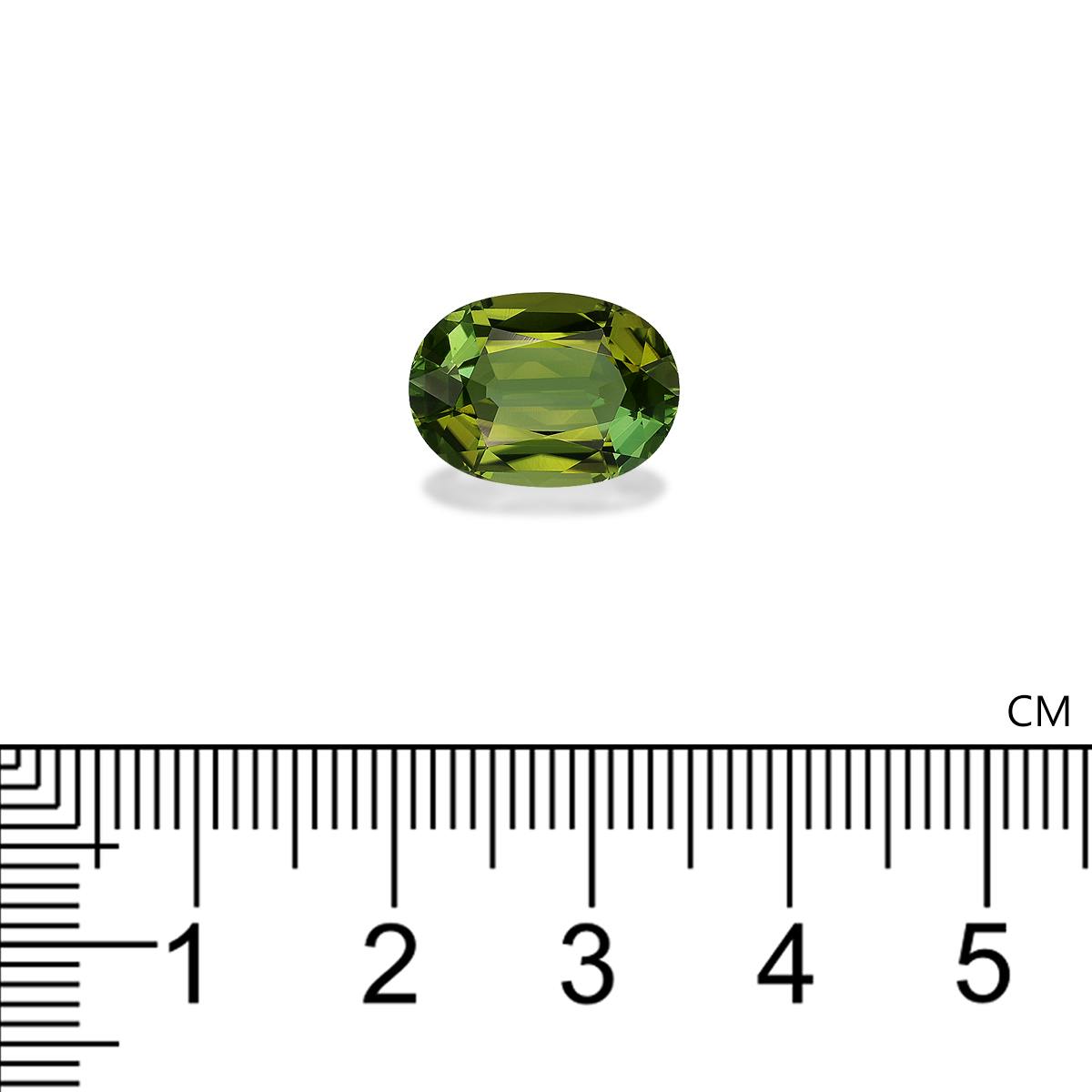 Green Tourmaline 6.09 ct